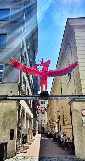 where to eat in Prague - Where to Eat and Drink in Prague The Red Stag logo of Cerveny Jelen - Red Stag restaurant in Prague, Czech Republic.