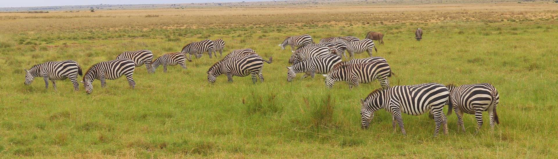 Amboseli National Park - Experiencing the Amboseli National Park of Kenya Amboseli National Park - Experiencing the Amboseli National Park of Kenya