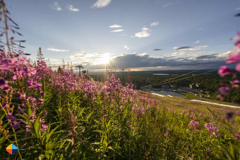 Summer in Lapland - Summer in Lapland: Experience Mountain Biking & Hiking in Levitunturi Sunny views over Levi in Lapland, Finland.