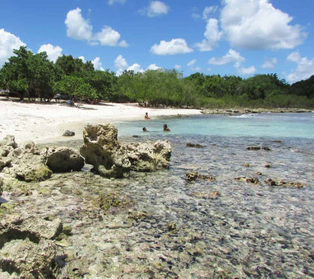 Snorkeling Spots in the Dominican Republic - Exploring the Best Snorkeling Spots in the Dominican Republic from Punta Cana Playa Magallanes, Bayahibe - Best Places for Snorkeling in the Dominican Republic.