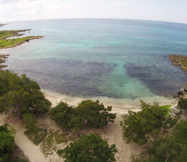 Snorkeling Spots in the Dominican Republic - Exploring the Best Snorkeling Spots in the Dominican Republic from Punta Cana Bay and beach Magallanes, Bayahibe - Best Places for Snorkeling in the Dominican Republic.