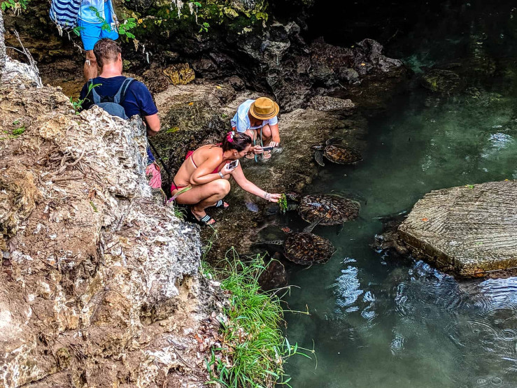 Nungwi in Zanzibar - Uncovering the Hidden Gems of Stunning Nungwi in Zanzibar Feeding turtles at Mnarani Natural Aquarium in Nungwi, Zanzibar, Tanzania.