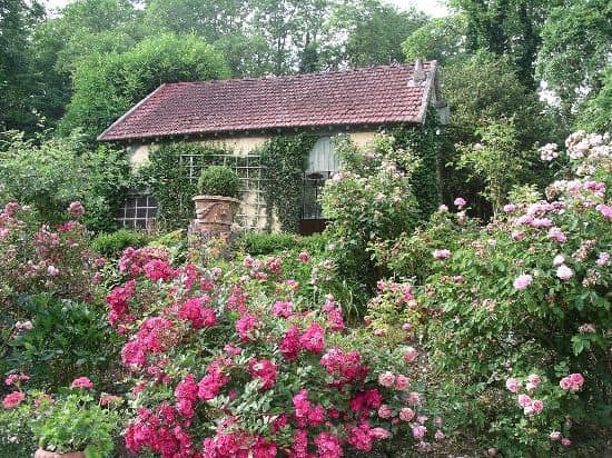 Giverny Day Trip from Paris - Claude Monet's House: How to Plan a Giverny Day Trip from Paris Flowers in Monet's Garden in Giverny, France.