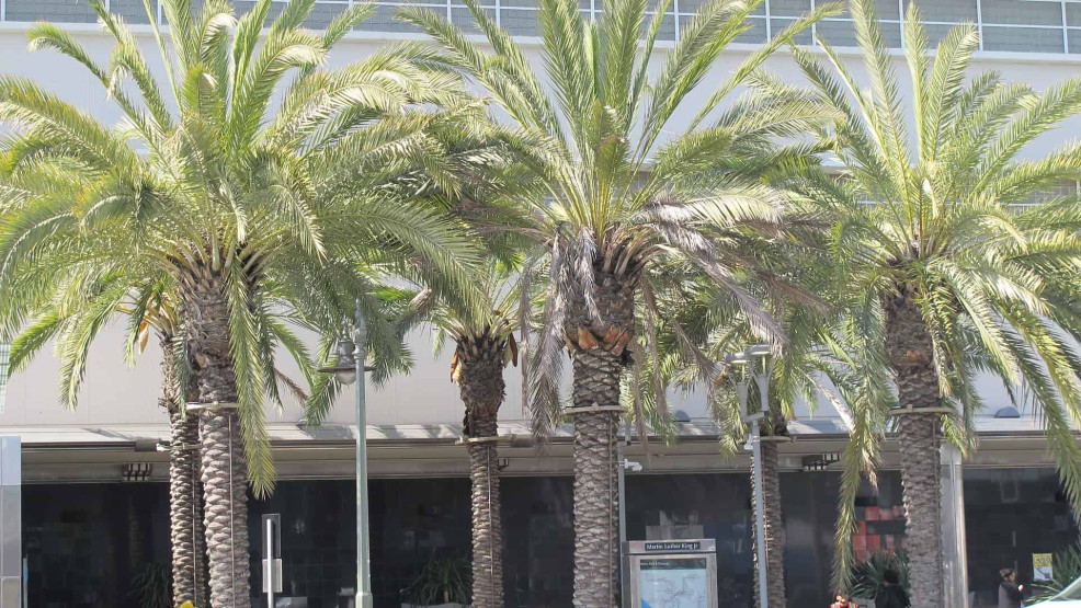 Unique Experiences in Los Angeles - Unique Experiences in Los Angeles: Visit the Rich Cultural Heritage of South LA Unique Experiences in Los Angeles - Unique Experiences in Los Angeles: Visit the Rich Cultural Heritage of South LA