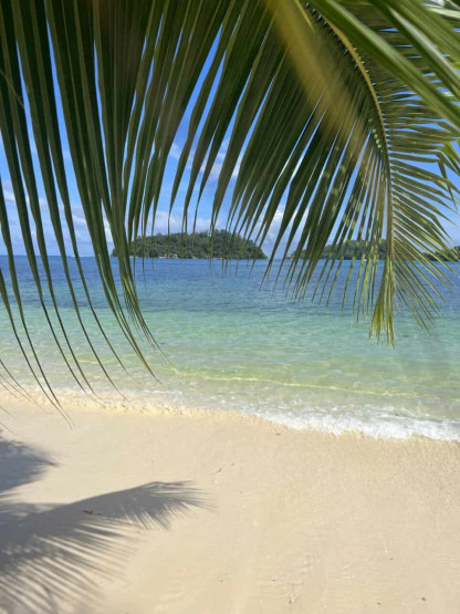 seychelles travel tips - Top Seychelles Travel Tips: Not to Miss Islands and Beaches Palm trees and a breeze - beach life in the Seychelles.