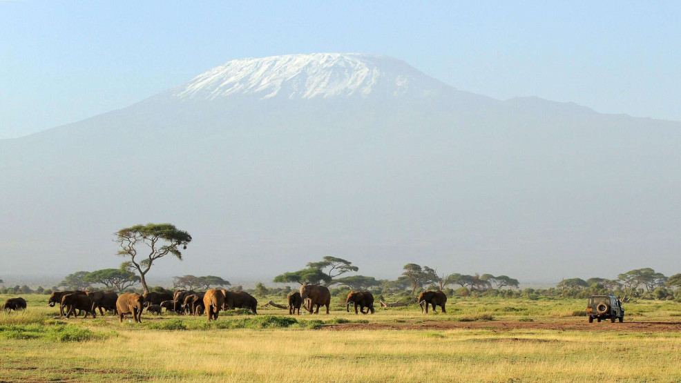 Tanzanian safari - 10 Reasons a Tanzanian Safari Should be on Your Bucket List Elephants on the Tanzanian savannah.