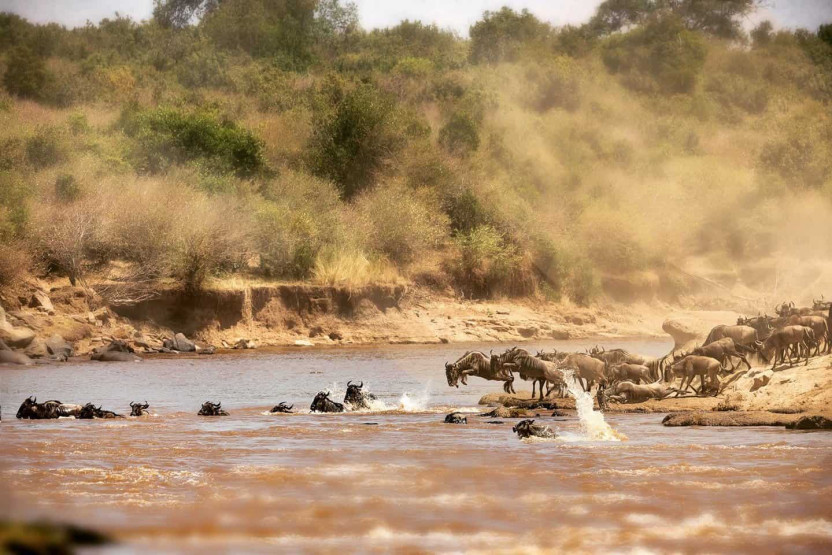 Best Time to Visit Kenya - When is the Best Time to Visit Kenya? Best Time to Visit Kenya - When is the Best Time to Visit Kenya?