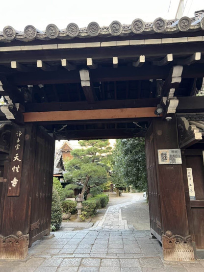 Travel Tips for Tokyo and Kyoto - Top Travel Tips for Tokyo and Kyoto Backyard at Nikishi Market in Kyoto, Japan.