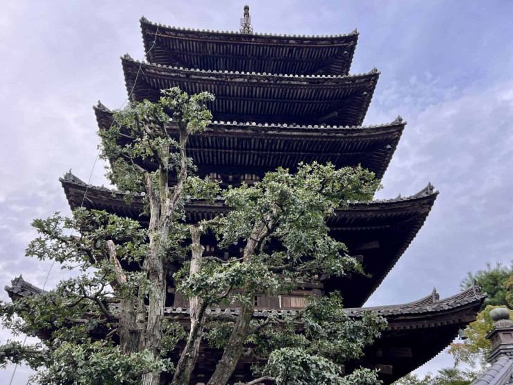 Travel Tips for Tokyo and Kyoto - Top Travel Tips for Tokyo and Kyoto Buddhist pagoda in Kyoto, Japan.