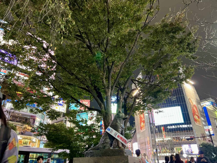 Travel Tips for Tokyo and Kyoto - Top Travel Tips for Tokyo and Kyoto Statue of Hachiko