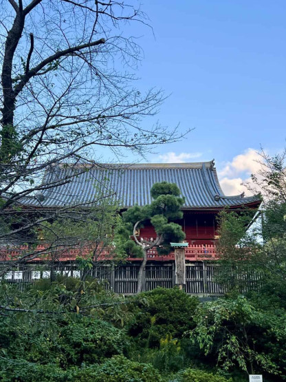 Travel Tips for Tokyo and Kyoto - Top Travel Tips for Tokyo and Kyoto Temple in Ueno Park in Tokyo, Japan.