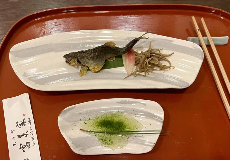 Travel Tips for Tokyo and Kyoto - Top Travel Tips for Tokyo and Kyoto Fish dish - Typical food in Japan.