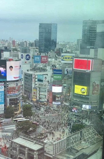 Travel Tips for Tokyo and Kyoto - Top Travel Tips for Tokyo and Kyoto View of Shibuya Crossing from the Shibuya Building