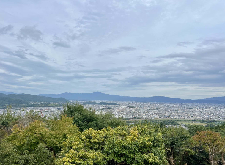 Travel Tips for Tokyo and Kyoto - Top Travel Tips for Tokyo and Kyoto View over Kyoto from the monkey park.