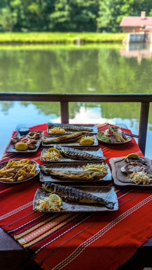 Fresh delicious fish at Rila close to Bansko, Bulgaria.