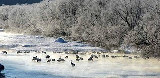 Good Reasons to Visit Japan in the Winter - Homepage - Travel Dudes