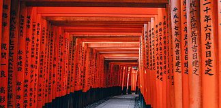 Must Visit Sites in Kyoto - Homepage - Travel Dudes