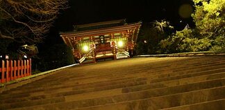 How to Pray at a Shinto Shrine in Japan