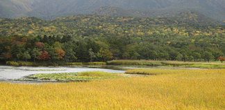 The Joy of Driving in Hokkaido, Japan - Homepage - Travel Dudes
