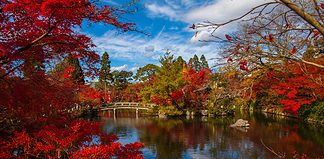 Top Places to See Autumn Leaves in Japan Japanese garden in autumn.