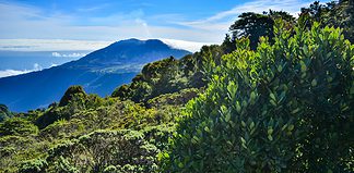 Costa Rica Currency Exchange Tips Costa Rica Currency Exchange Tips