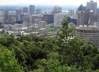 Driving in Montreal: Not Worth The Headache Montreal, Canada