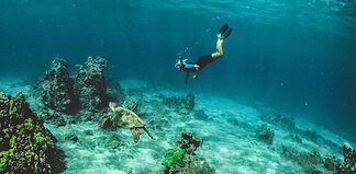 Best Spots for Snorkeling in Costa Rica Snorkeling in Costa Rica - Best Spots