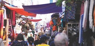 Chatuchak Market Guide, Bangkok Chatuchak market guide