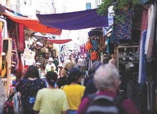 Chatuchak Market Guide, Bangkok Chatuchak market guide
