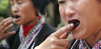 Tooth Blackening of Traditional Vietnamese Tribes Tooth blackening ritual in Vietnam