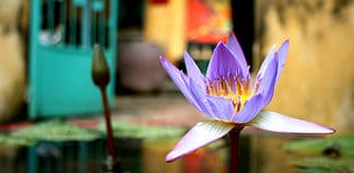 Vietnam Itinerary 3 Weeks: From North to South Vietnam itinerary 3 weeks