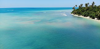 The Best Bioluminescent Bays in Puerto Rico Best Bioluminescent Bays in Puerto Rico