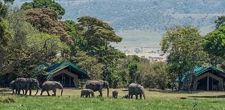 Kenya Attractions: A Guide to Experiencing Kenya Camping in Kenya