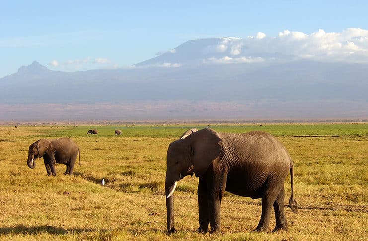 Reasons to Visit Kenya Reasons to visit Kenya