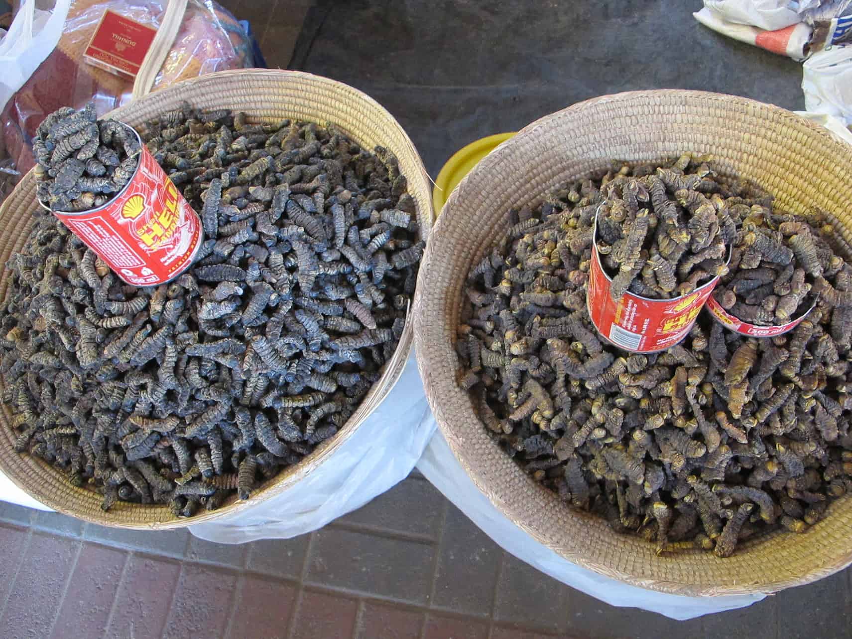 Delicacy Mopane worms.