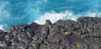 Can’t Afford a Galapagos Cruise? Go Here Instead! Galapagos Cruise Alternatives