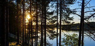 The Essential Guide to Exploring In and Around Hossa National Park in 7 Days Enjoying the Midnight Sunset at Camping Hossan Lumo's