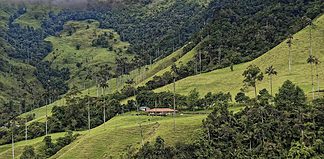 Tipping in Colombia: Know Before You Go Tipping in Colombia