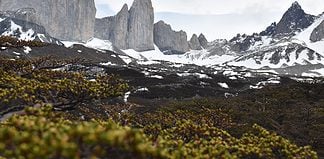 A Guide to Torres Del Paine Trekking Torres Del Paine Trekking