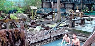 Relax at the Natural Hot Pools at Ngawha Springs in New Zealand Ngawha Springs, New Zealand