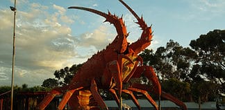 Watch Out for Australian Big Things australian big things