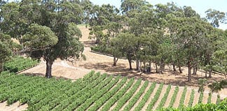 Most Beautiful Australian Wine Regions Australian Wine Regions, Australia