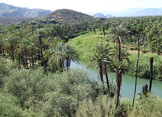 Guadalupe Canyon: A Hot Spring Oasis in Mexico Baja California Mexico
