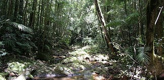 Top Bush Adventures Tips – Camping in Queensland’s National Parks Camping in Queensland, Australia