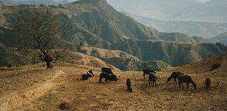 Helambu Trek: Best for a Short Trek Helambu Trek in Nepal