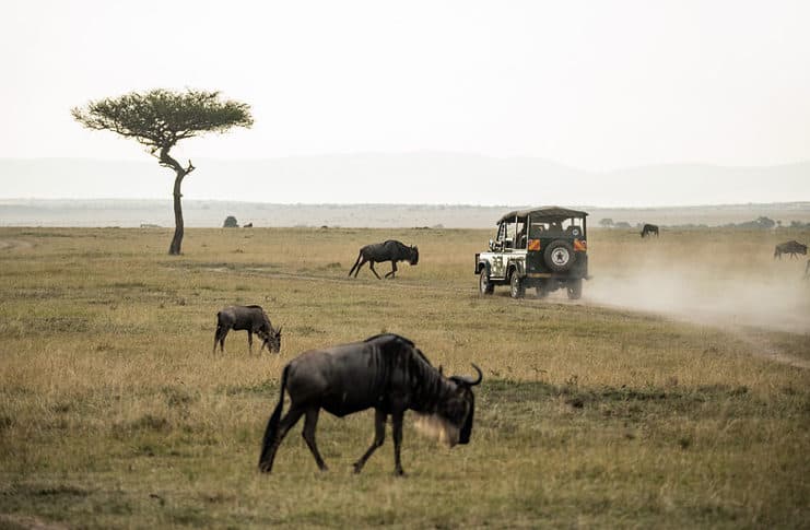 Nairobi National Park: The Only National Park in a Town Nairobi National Park, Kenya
