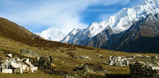 Reasons to do the Langtang Valley Trek Reasons to do the Langtang Valley trek, Nepal