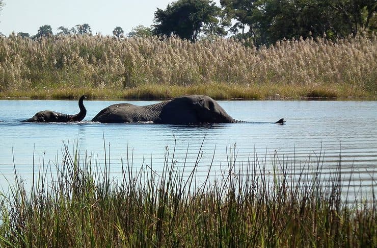 Botswana Landscapes: A Land of Environmental Riches, National Parks and Game Reserves Botswana landscapes