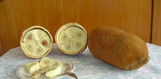 The Local Cuisine of Manaus, Brazil Cupuacu in Manaus, Brazil