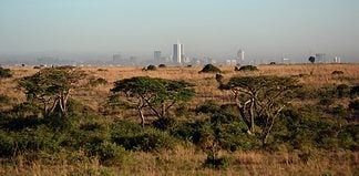 Visit Nairobi, Kenya: Your Travel Tips to Enjoying a Tour of the City in the Sun Savanna right next to Nairobi, Kenya.